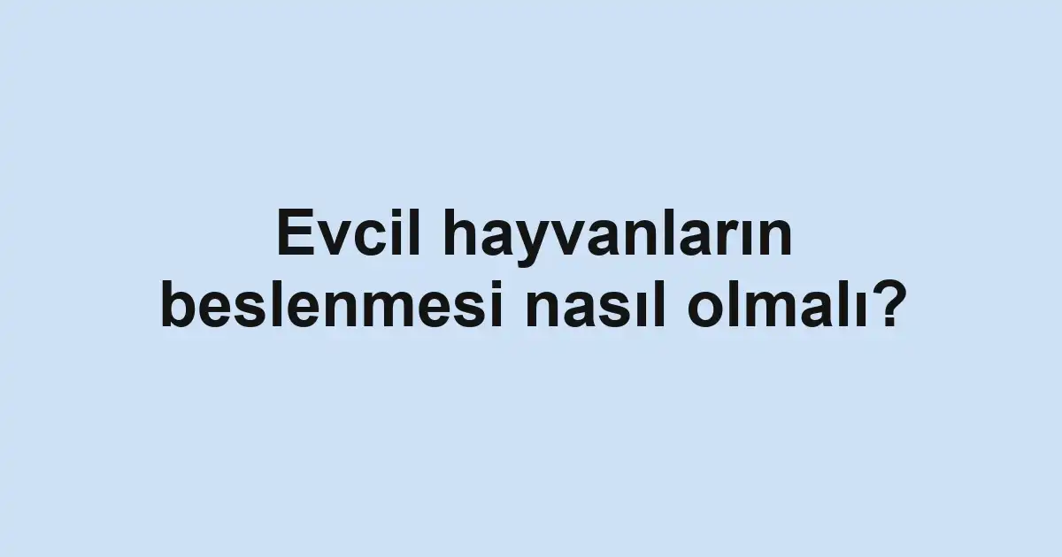 Evcil hayvanların beslenmesi nasıl olmalı?